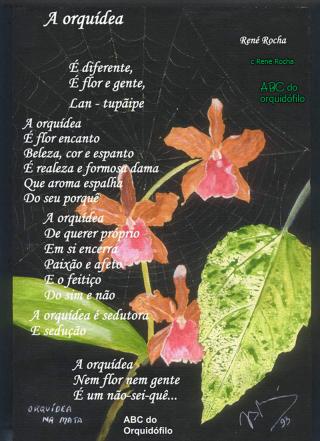 a-orquidea-poesia.jpg