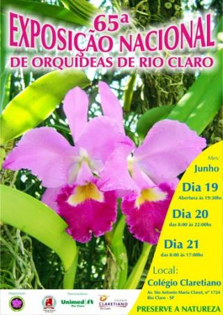 cartaz-rio-claro-2009.jpg