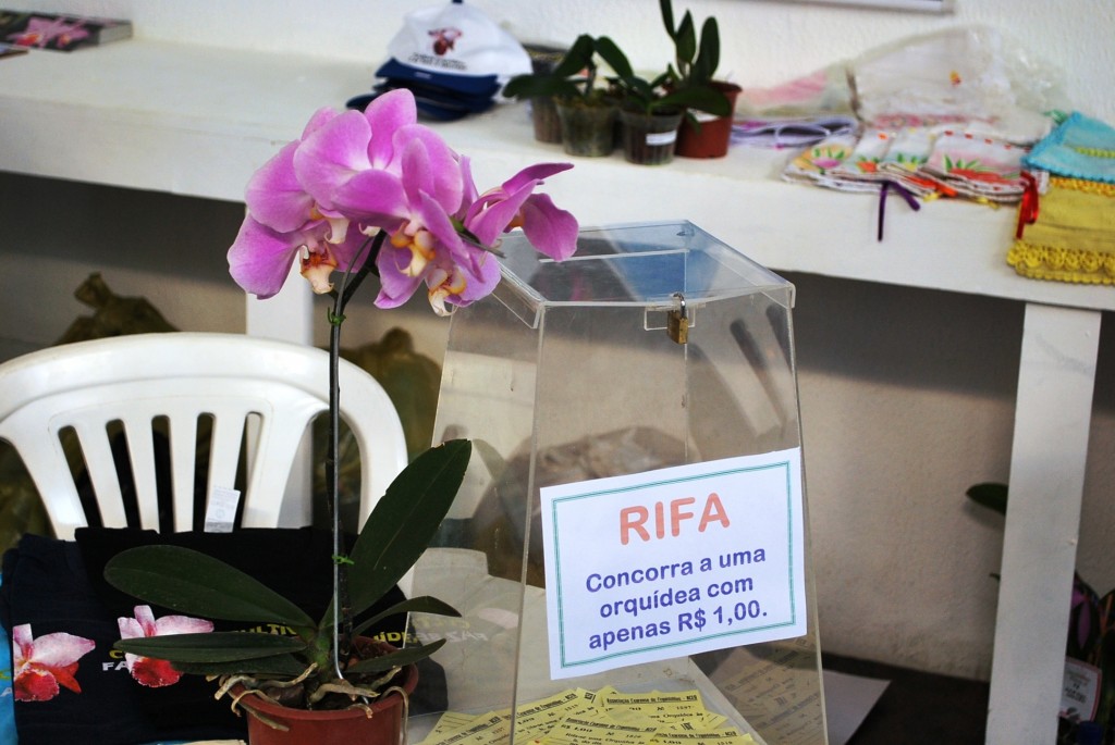 Rifa de orquídeas