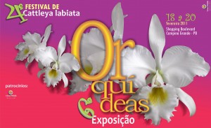 Cartaz Campina Grande 2011