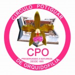 Logo CPO