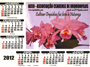 A ACEO produziu um calendário de mesa.
