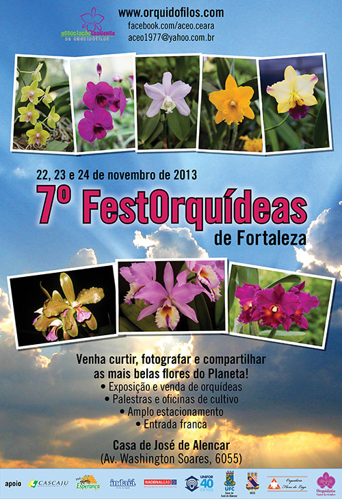 Cartaz FestOrquídeas 2013