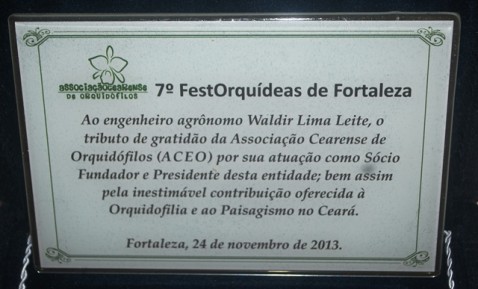 Placa Waldir Leite