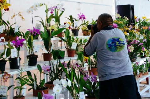 Uma festa para os fotógrafos - amadores ou profissionais.