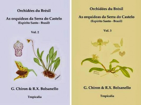 As orquideas da Serra do Castelo - Capas