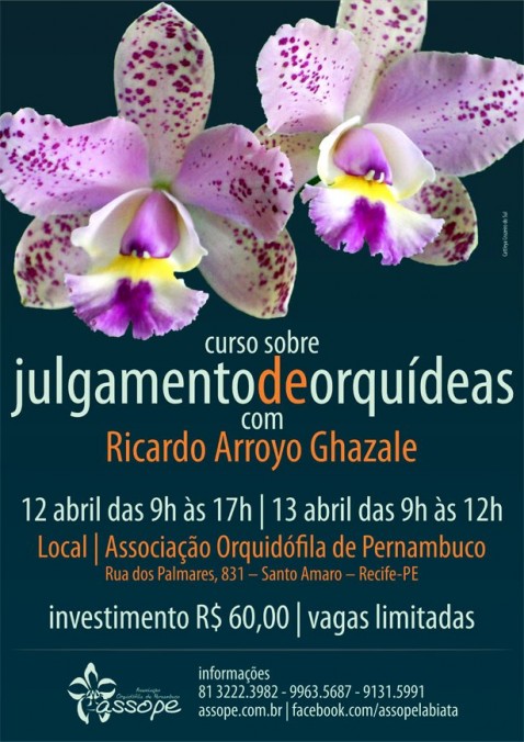 Cartaz-Curso-de-Julgamento-de-Orquídeas