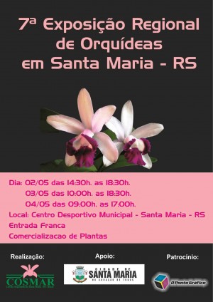 Cartaz - Santa Maria 2014