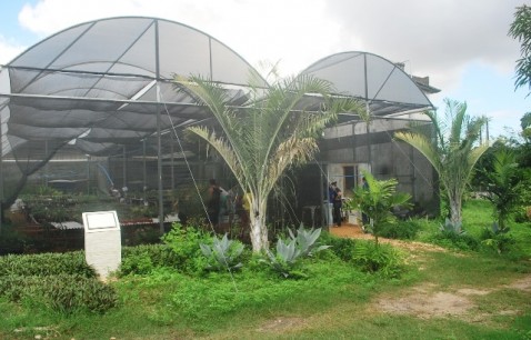 Com uma ótima estrutura, o orquidário foi inaugurado em 2013.