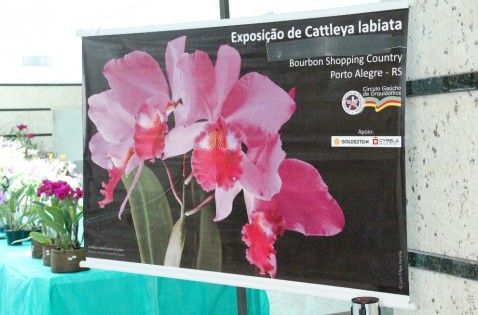 Banner da exposição de Porto Alegre.