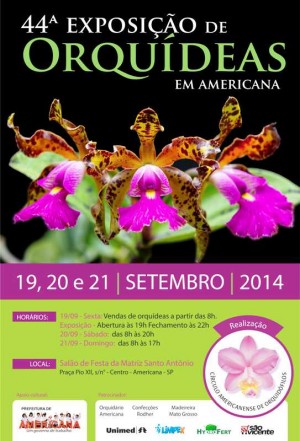 Cartaz - Americana 2014