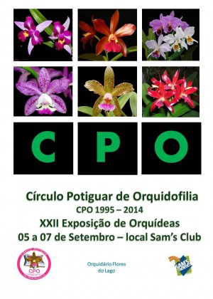 Cartaz - CPO 2014