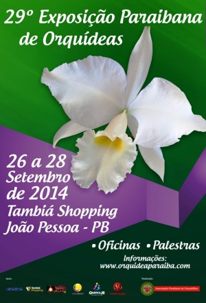 Cartaz - João Pessoa 2014