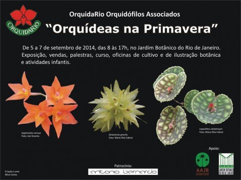 Cartaz - OrquidaRio - Orquideas da Primavera 2014