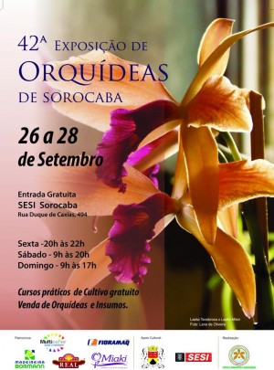 Cartaz - Sorocaba 2014