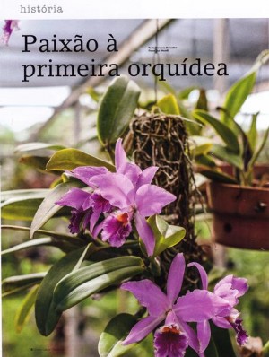 Italo: Paixão à primeira orquídea