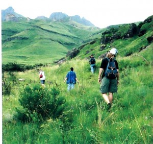 Cenário das montanhas de Drakensberg. (Foto: H. Peters, in "Orchids South África - 2014".
