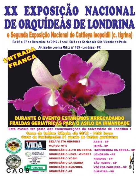 Cartaz - Londrina 2014