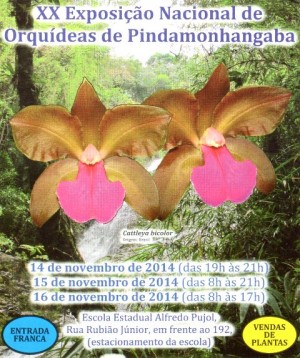 Cartaz - Pindamonhangaba 2014