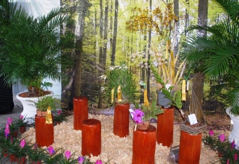 Pódium do 8º FestOrquídeas, faltando definir a planta ganhadora do Troféu Gerardo Carvalho.