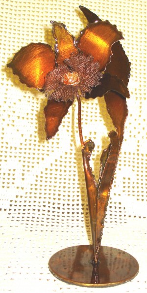 "Labiata de Ouro", um dos mais belos troféus orquidófilos do país.