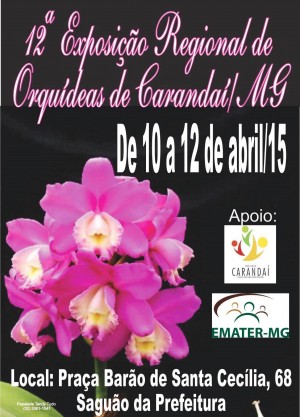 Cartaz - Carandaí 2015