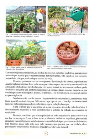 Revista OrquidaRio 04