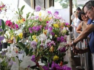 Na foto, a exposição do ano passado em Vinhedo