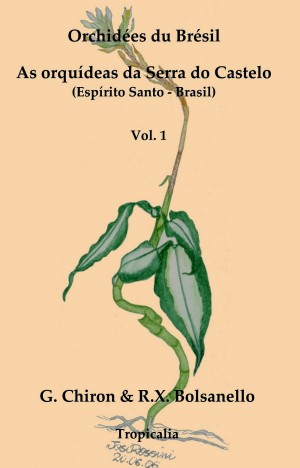 As orquídeas da Serra do Castelo - Vol. 1 - Capa