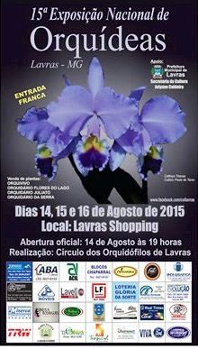 Cartaz - Lavras 2015