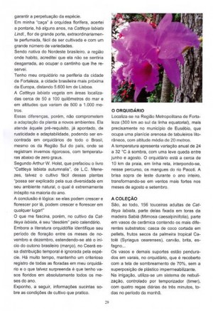 Lusorquideas 003