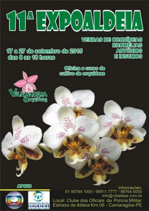 Cartaz - ExpoAldeia 2015