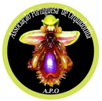 Logo APO