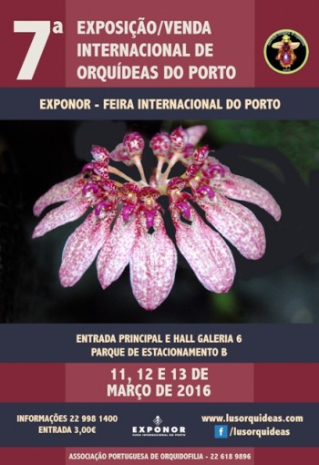 Exposição Orquídeas do Porto