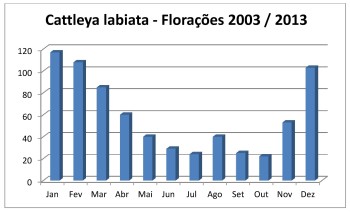 Florações labiatas 2003 - 2013