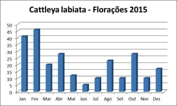 Florações labiatas 2015