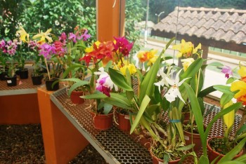 Orquidário Monte Verde 06b