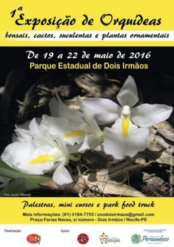 Cartaz - Parque Dois Irmãos 2016