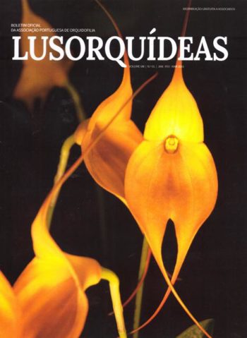 Lusorquideas - Vol VIII