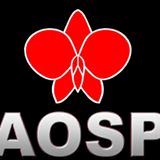 Logo AOSP