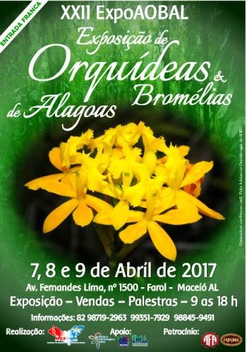 Exposição de orquídeas em Maceió