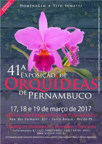 Exposição de orquídeas no Recife