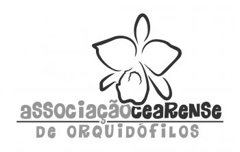 Logo ACEO