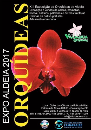Orquídeas cartaz
