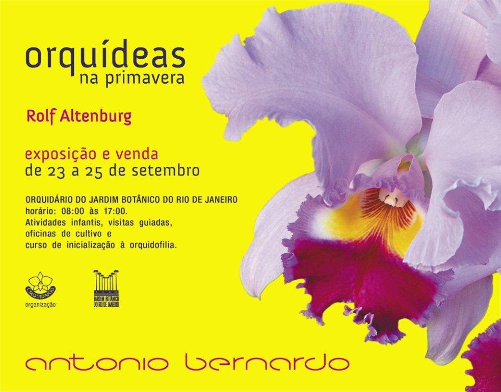 Primavera com orquídeas no Jardim Botânico do Rio de Janeiro –  Orquidofilos.com
